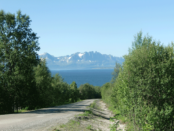 25-utsikt-grus-trad