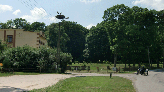 familjen-stork